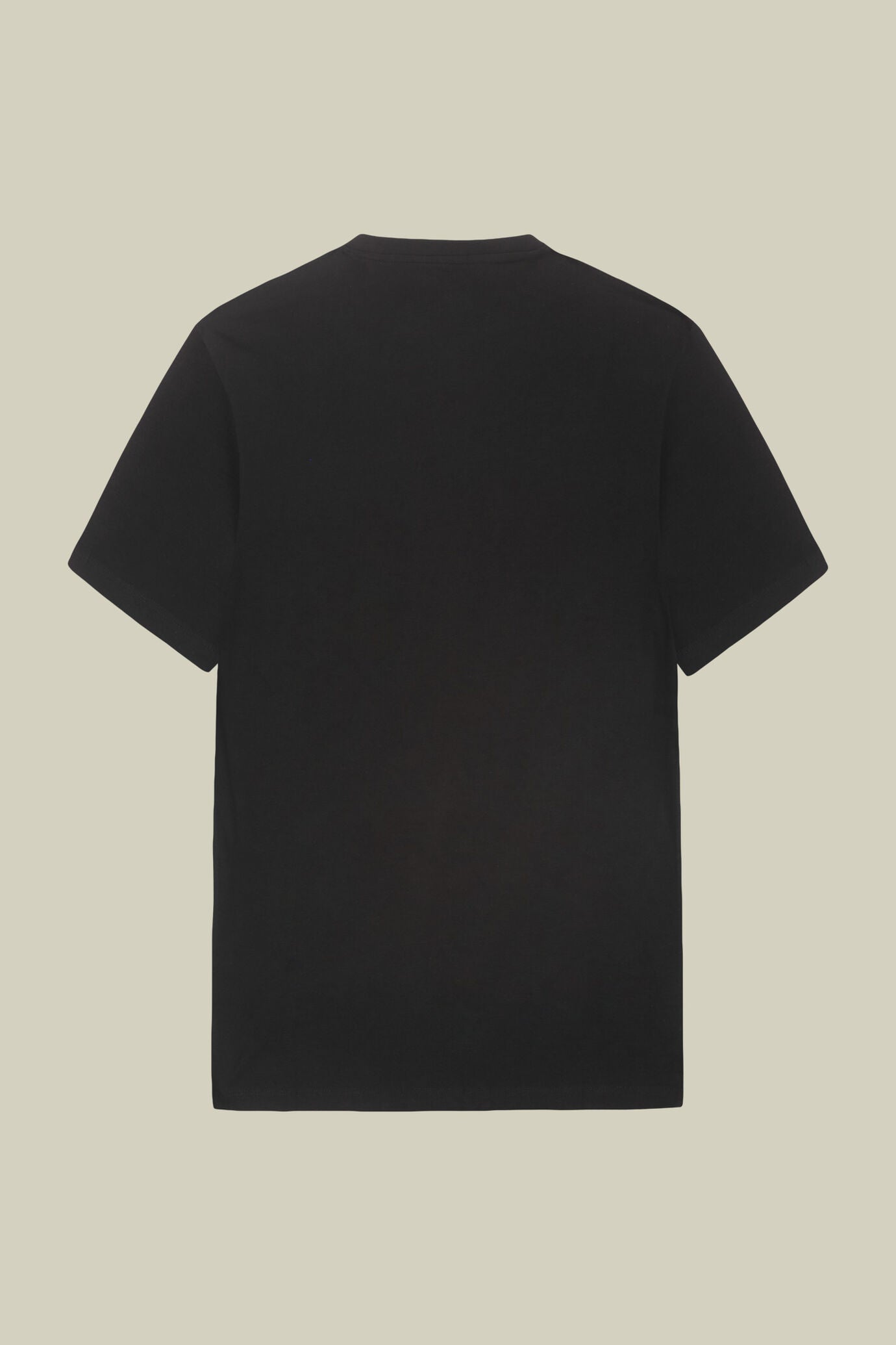 Men's regular fit 100% cotton jersey T-shirt