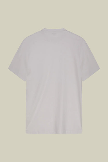 Men's regular fit 100% cotton jersey T-shirt