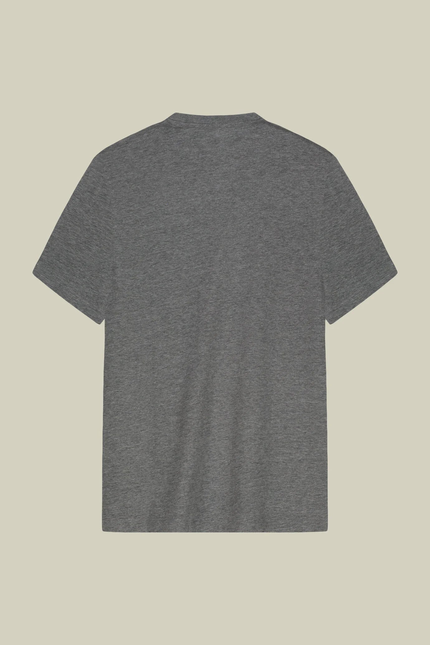 Men's regular fit 100% cotton jersey T-shirt