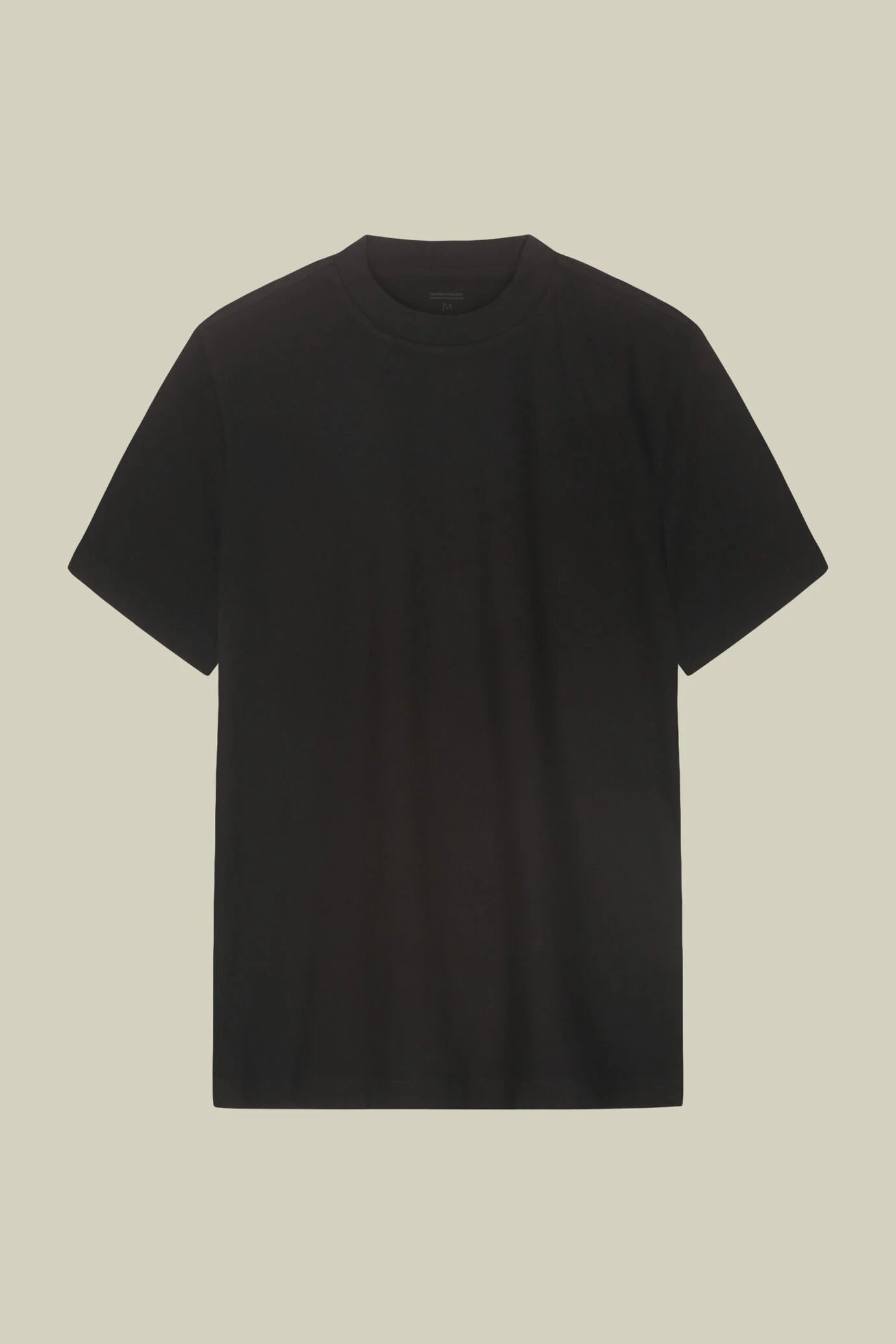 Men's T-shirt in 100% cotton jersey with slightly high neck