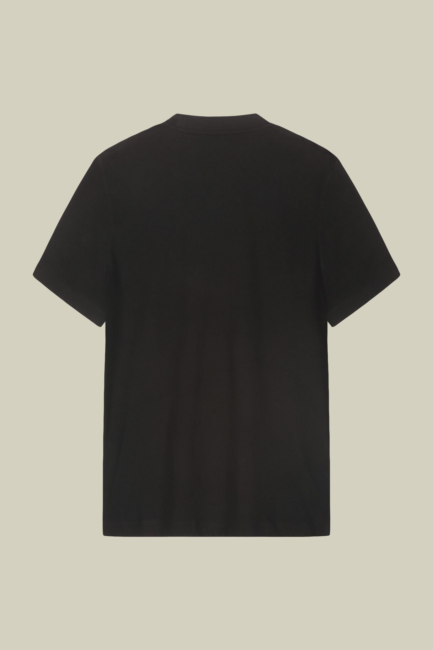 Men's T-shirt in 100% cotton jersey with slightly high neck