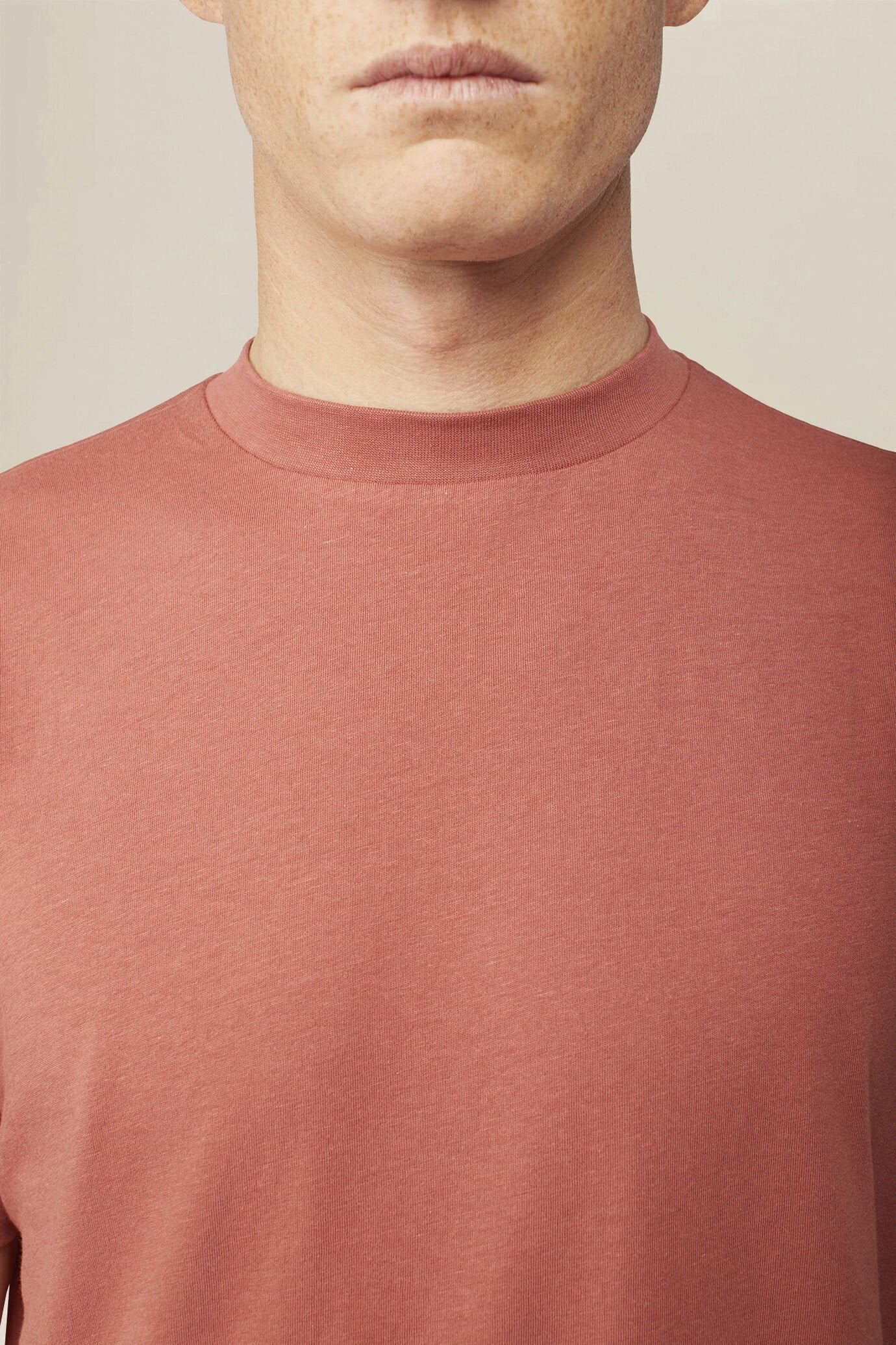 Men's T-shirt in 100% cotton jersey with slightly high neck